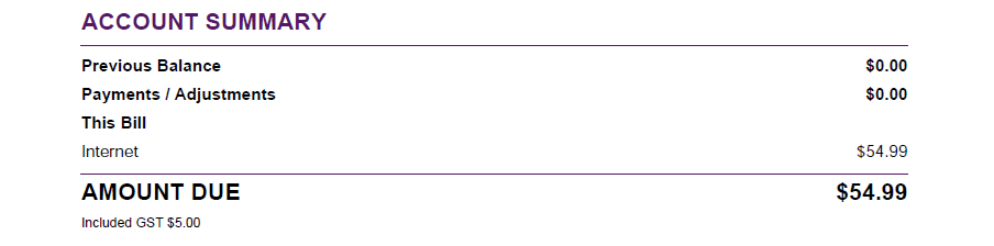 Invoice account summary